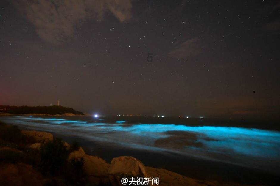 强捧遭天谴!闫妮无底线推女儿“上位”,终于遭到反噬了