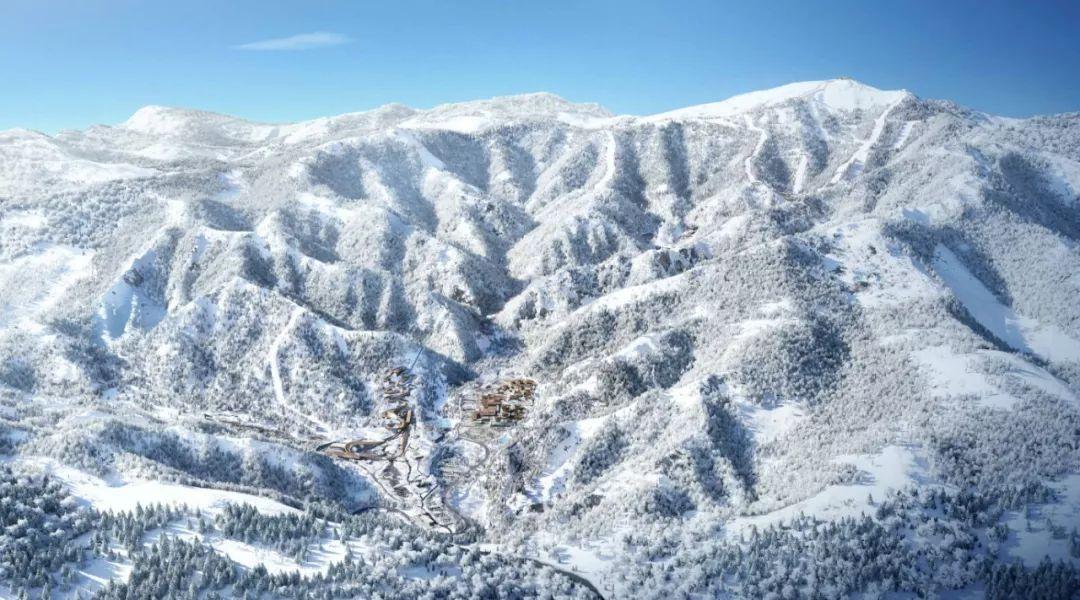 吃炸“淀粉牙签”视频走红,韩国政府呼吁民众切勿跟风
